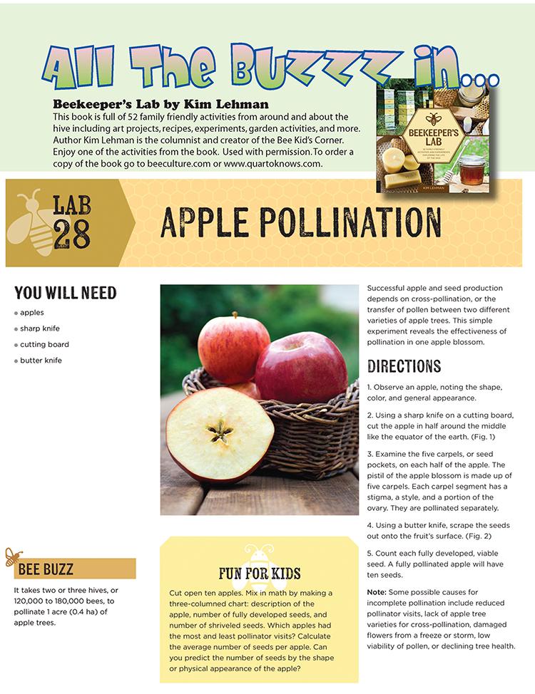 BeeSavvyvt's tweet photo. Bee Kid’s Corner: Bee pollination. Here's a fun activity for kids that are interested in beekeeping.  https://t.co/772HdTLF4W https://t.co/Rq8R5wsIrS https://t.co/6hzWJT13y4