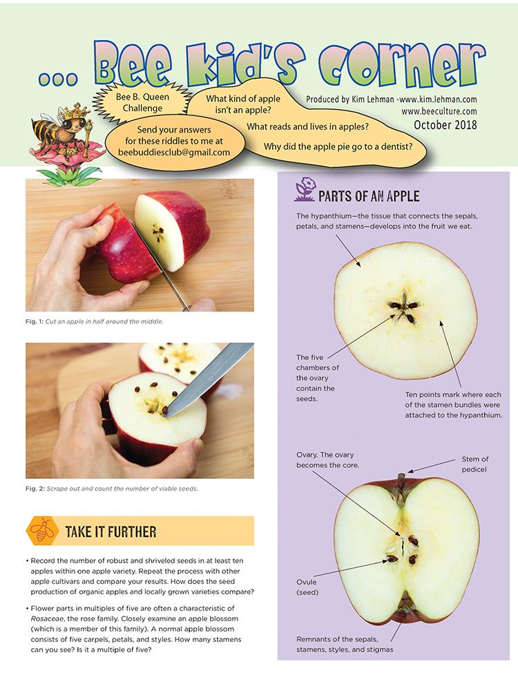 BeeSavvyvt's tweet photo. Bee Kid’s Corner: Bee pollination. Here's a fun activity for kids that are interested in beekeeping.  https://t.co/772HdTLF4W https://t.co/Rq8R5wsIrS https://t.co/6hzWJT13y4