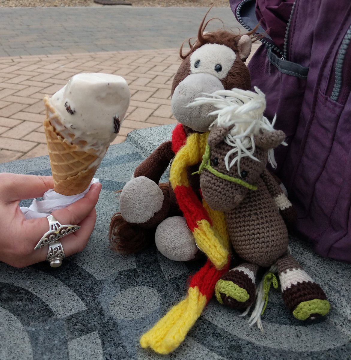 1 of 2 
And today , @ReisePferdich and Zuppi went with us to Brighton and Hove
In Brighton on the way we had an ice cream!! and Herself's daughter very kindly held the icecream for us.. as our hooves were having difficulty!