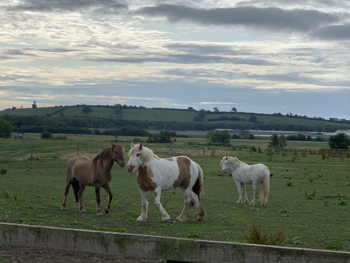 A beautiful end to a beautiful 3 days of #Mindspa Grateful and honoured to do this work <a href="/Paul_Lock/">Paul</a> <a href="/beyond_recovery/">Igniting empowerment for prison experienced people</a>