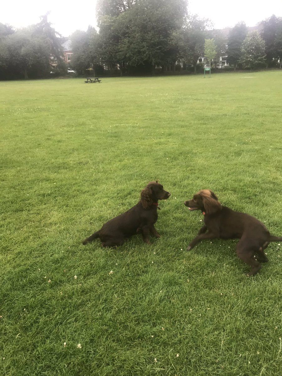 <a href="/MyNottingham/">🏹 My Nottingham</a> Evee loves playing and meeting friends at Lenton Recreation Ground. A huge shout out for her best friend Dave the Park keeper who keeps the park immaculate - he is known and appreciated by so many using the rec! 😊👍❤️