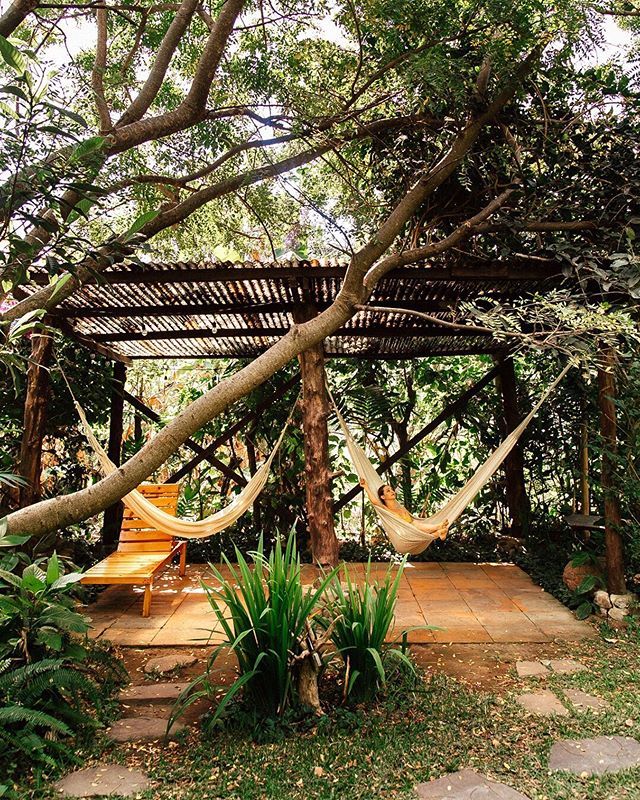 Lush Atitlan tweet media