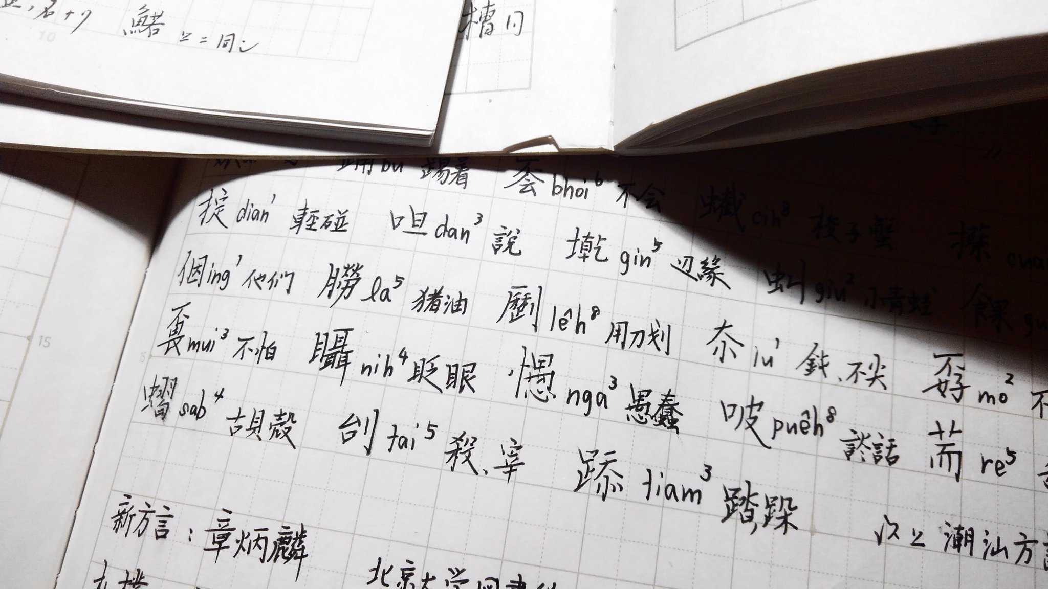 拾萬字鏡 در توییتر 自宅には字典 辞典のような印刷された漢字 資料もあるけど自分で字書を編むために日中の古典からかき集めてメモした 字書に載らない漢字 語彙 のノートも大量にある T Co Lv0h0iyom8 توییتر