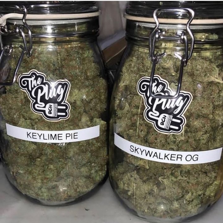 Which one is your choice 🌿🌿🔥🔥🔥💯💯⛽⛽⛽📸📸🌿🌿
..
..
..
..#cannabis #c10 #c10crew #gbody #hightimes #herb #weedporn #weedmemes #cannabiscanada #weed #hightimescannabiscup #hightimesmagazine <a href="/c10clubapparel/">C10 Lifestyle</a>
<a href="/4eva_l/">¥$L_4EVA</a> <a href="/HIGH_TIMES_Mag/">High Times</a> <a href="/cannstox/">CDN Cannabis Stocks</a> <a href="/bud_cannabis/">Bud's Cannabis Collection</a> <a href="/HashtagWEED/">#WEED</a>