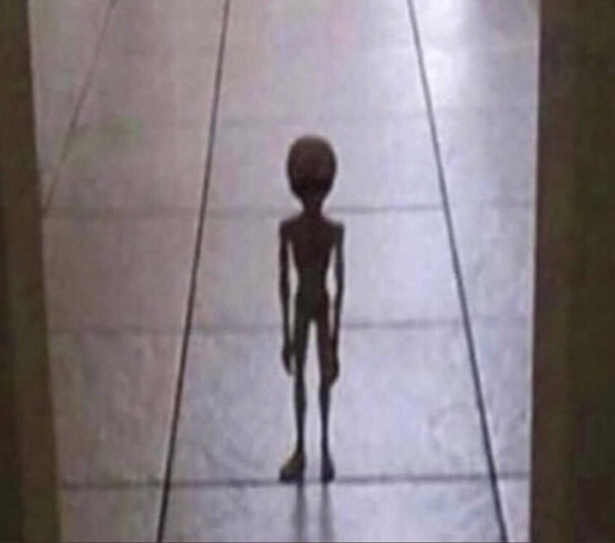 my alien I snuck out of area 51 waking me up to tell me he drank all the sunny d