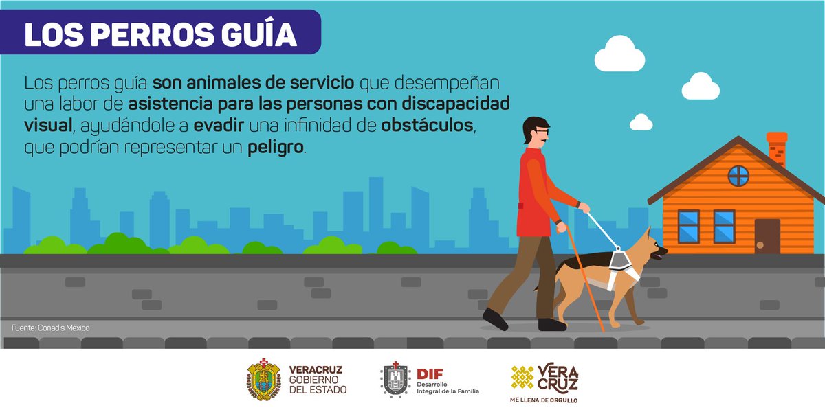 DIFEstatalVer's tweet photo. Los perros guía tienen la noble labor de devolver la movilidad e independencia a personas con discapacidad.

Cuando veas que acompaña a una persona, no lo acaricies o le ofrezcas comida, ya que se encuentra trabajando y puede provocar que cometa un error🐕🐾 https://t.co/BIIkKGHK2Z