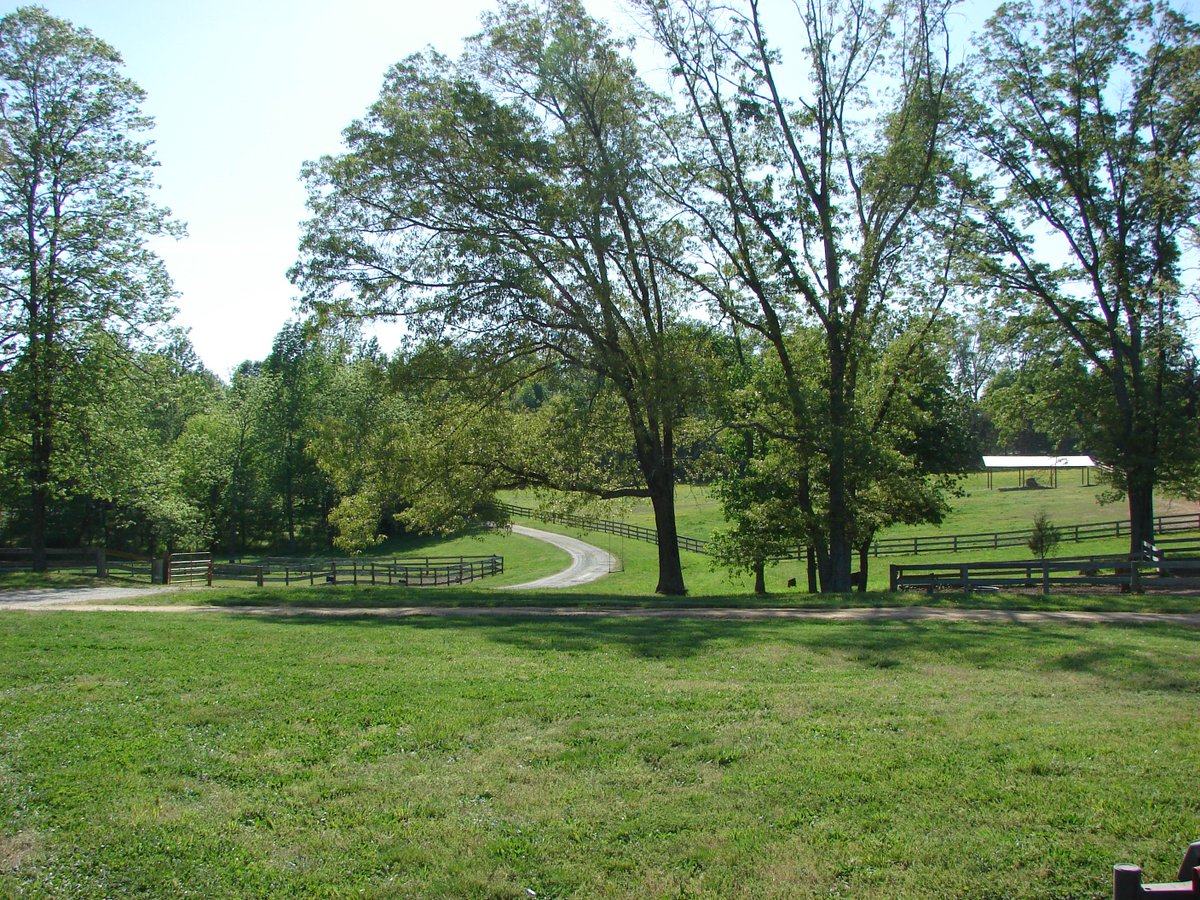 TP_180's tweet photo. Aug. 3rd, join us on 99 acres of gorgeous property that will be filled with music, food, fun, games, pony rides, and auction items. YOU WON'T WANT TO MISS IT!!!

SUMMERFEST 2019 @ Fellowship Farm!
For tickets: https://t.co/vrasdhRjt0

#LIVEMUSIC #STRINGSOFFAITH #UNIFIEDWORSHIPERS https://t.co/5w3r59hVRH