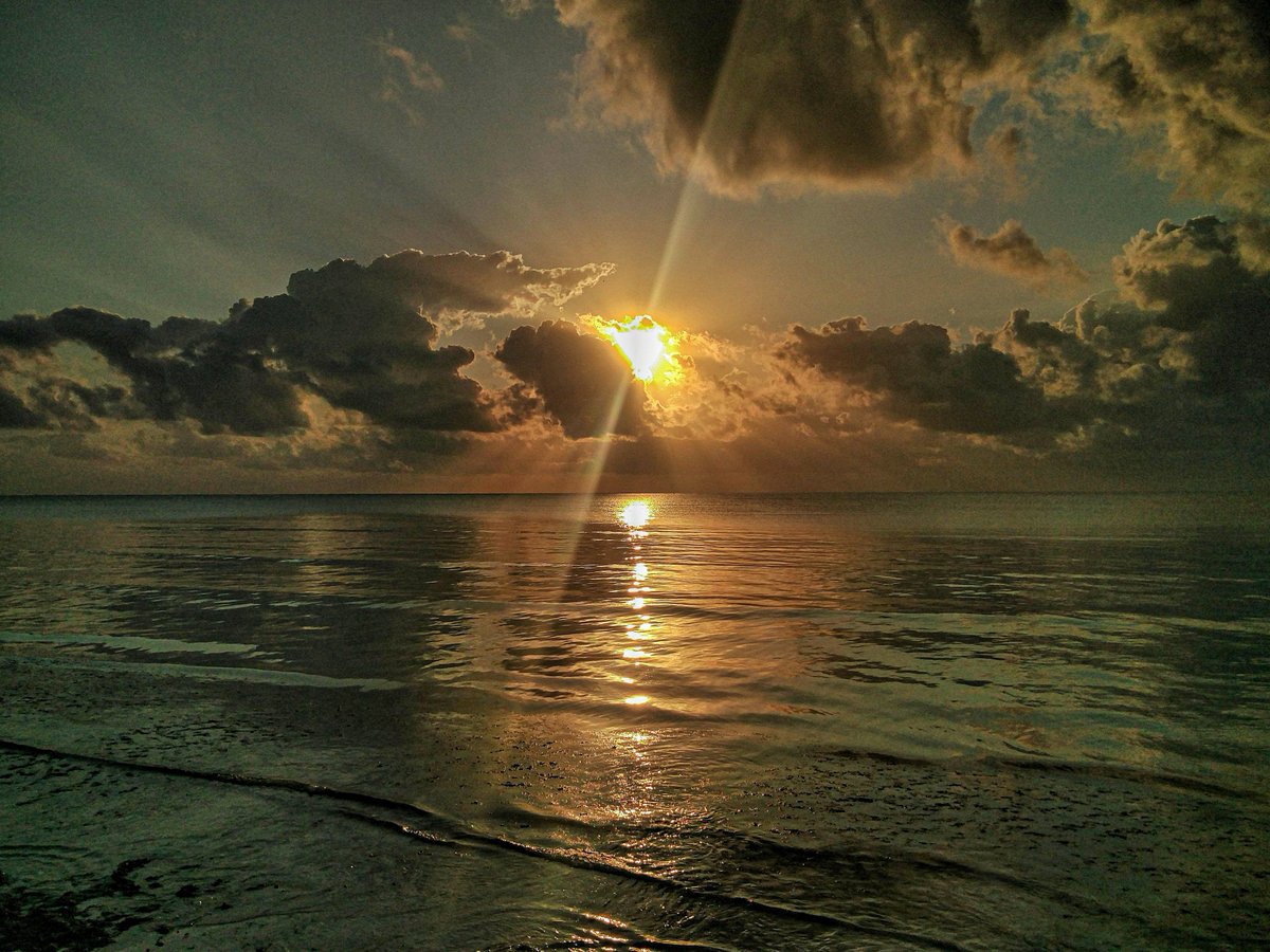 OnePlus_ITA's tweet photo. Questa foto di @alexpomoni ci porta a Zanzibar, uno dei luoghi più incantevoli del pianeta. 
Partecipa alla nostra sfida Never Alone, puoi vincere Bullets Wireless 2 o OnePlus 7 Pro! #OnePlusGoExplore  https://t.co/PJdUksRvGz https://t.co/rK01B8CTas