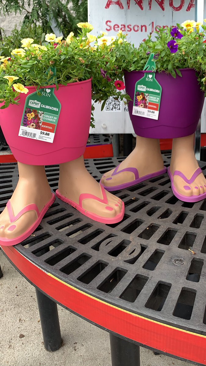 tarasloan's tweet photo. These are an interesting option for you gardening fanatics #walmart #flipflopprincess https://t.co/xsz9j7Zenz
