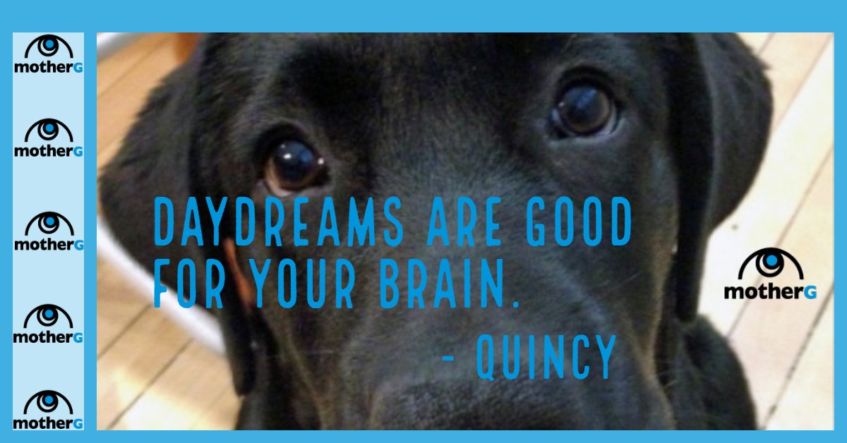 motherGuardians's tweet photo. Quincy wisdom
*
*
*
*
#blacklabs #wisdom #dogs #doggo #SMBadvice #tech #technology #businesssuccess #smallbiz  #ITconsulting #businessconsulting  #businessconsultant #smbhelp #Chicagoland #Milwaukee #cybersecurity #miscrosoft #weekendvibes #womenintech https://t.co/wxwrOoe2MT