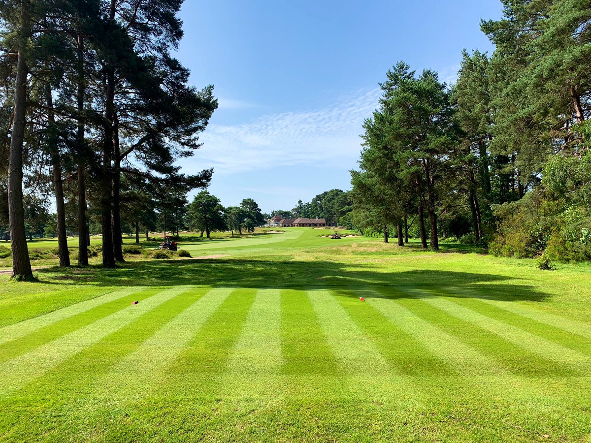 charlesIreland1's tweet photo. @FerndownGC #top100golfcourses https://t.co/HcoAs7YuHO