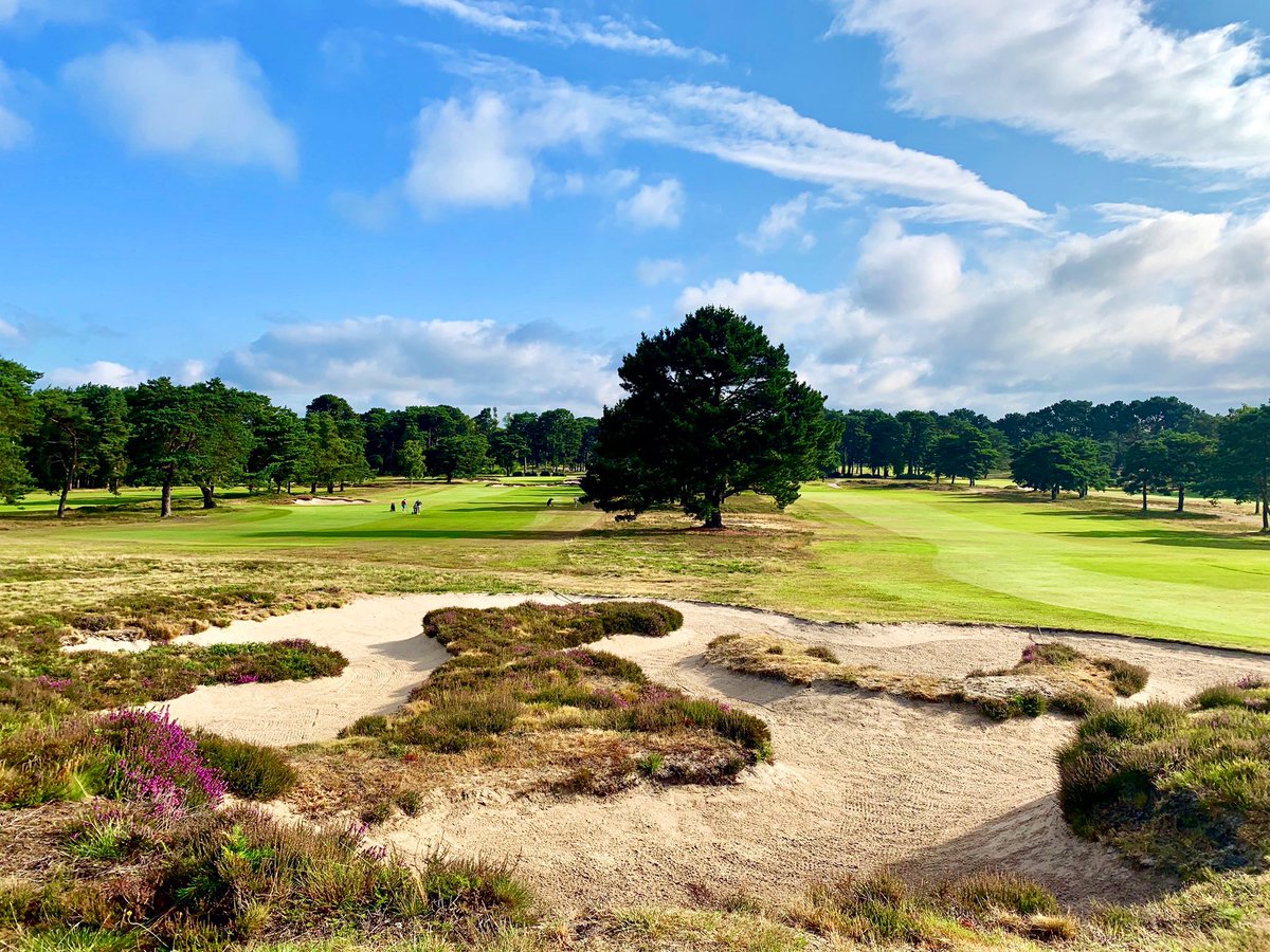 charlesIreland1's tweet photo. @FerndownGC #top100golfcourses https://t.co/HcoAs7YuHO