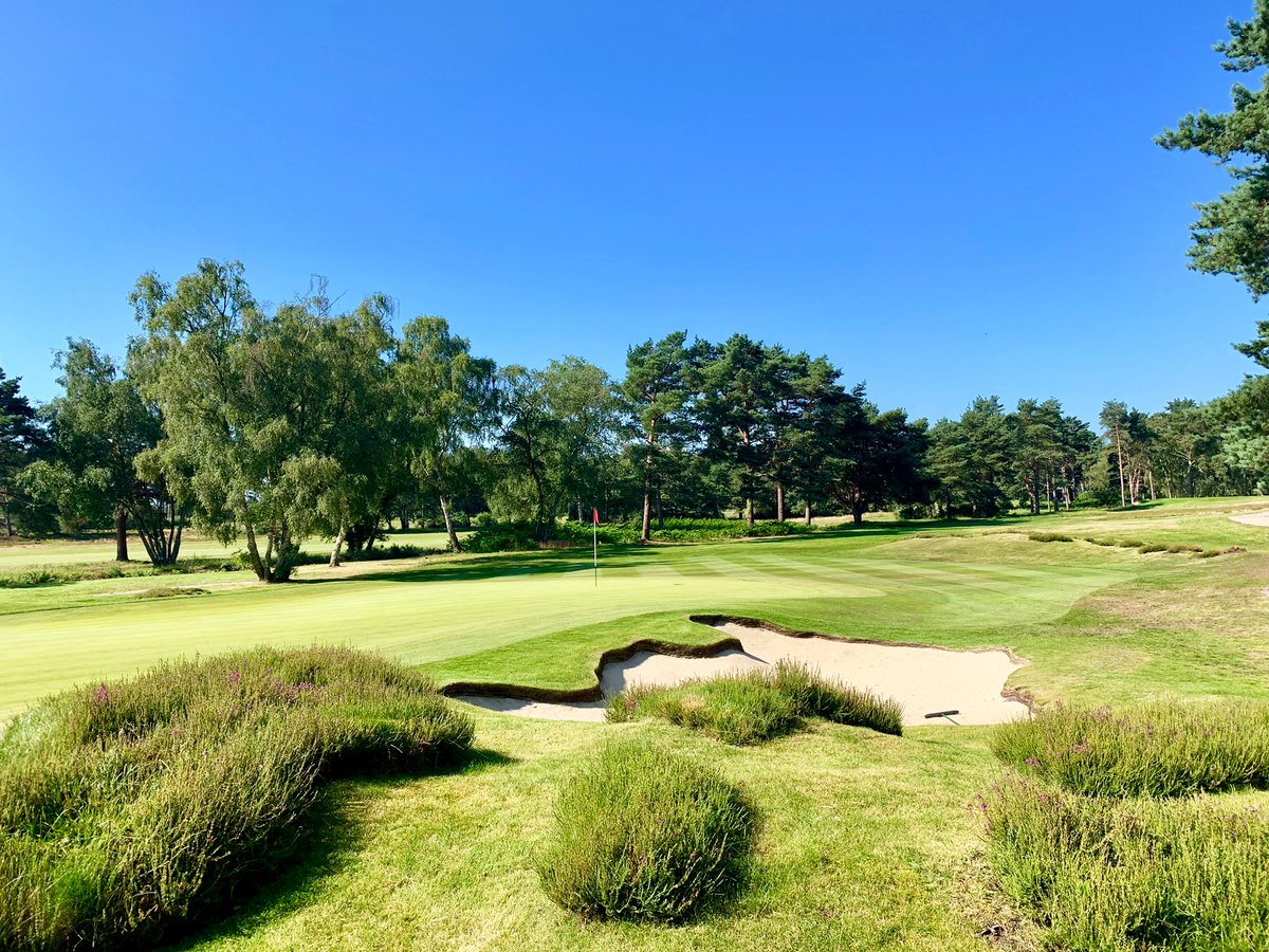 charlesIreland1's tweet photo. @FerndownGC #top100golfcourses https://t.co/HcoAs7YuHO