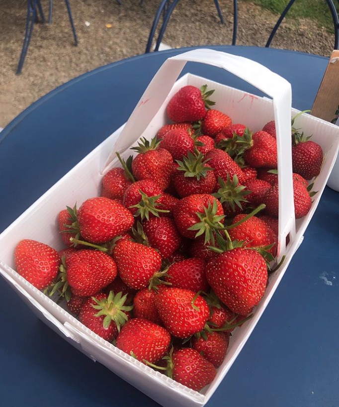 brocksbushes's tweet photo. PYO Update!

🍓 We have Strawberries, Raspberries, Gooseberries, Redcurrants and Blackcurrants to pick! 

🏌‍♂ We also have Crazy golf and an inflatable slide over the weekend! https://t.co/wzeduGp36j