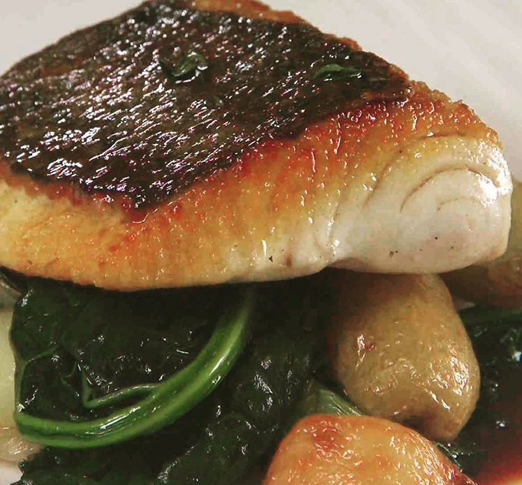 CleanFish tweet media