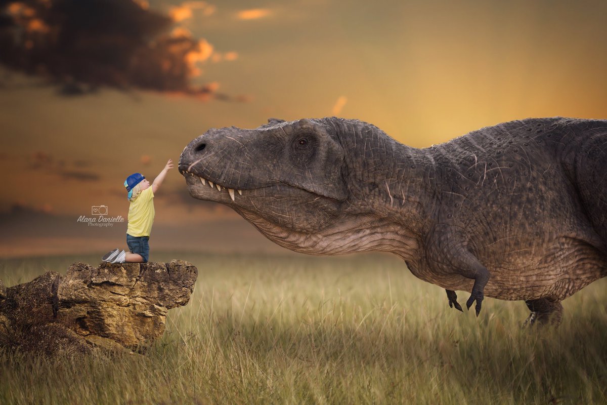 ADPhotography18's tweet photo. 🦕👣🌍🌳⁣

#AlanaDaniellePhotography #BabyBoyPhotography #BoyPhotography #BoyPoses #BoyPhotographyPoses #2YearOldPoses #2YearOldShoot #DinosaurThemedPhotoshoot #2YearOldDinosaurPhotography #PowerOfEditing #HoustonPhotography #HoustonPhotographer https://t.co/5b8wfwu0ep