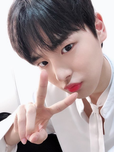 9anx7's tweet photo. 우리 병아리 사진 올려준 거 봐 진짜 눈�� 줄줄 https://t.co/qxVU6nnLra
