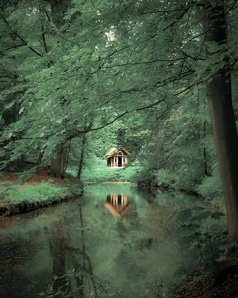 PicPublic's tweet photo. Landgoed Elswout
Netherlands https://t.co/89yIPGHrMm