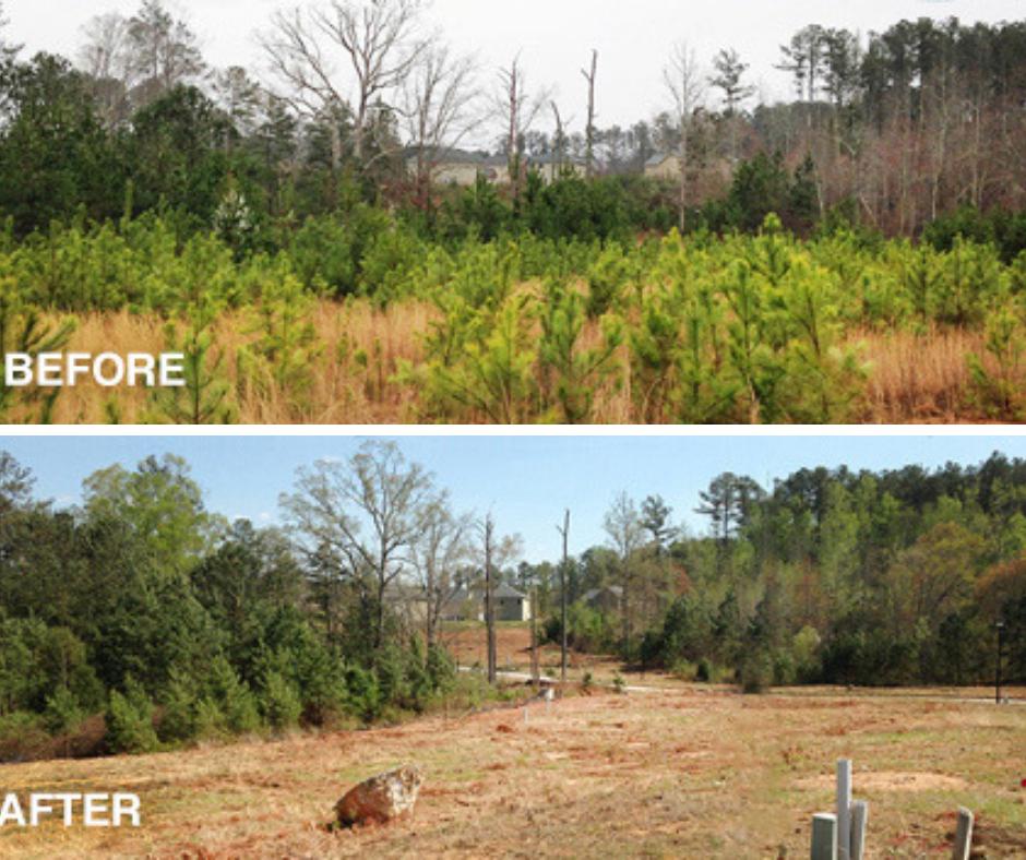 TEC offers forestry cutting services that transform trees and underbrush from unsightly overgrowth to mulch within seconds. Click on the link for more information. #TECtips #Forestry tecompanies.com/site-services/…