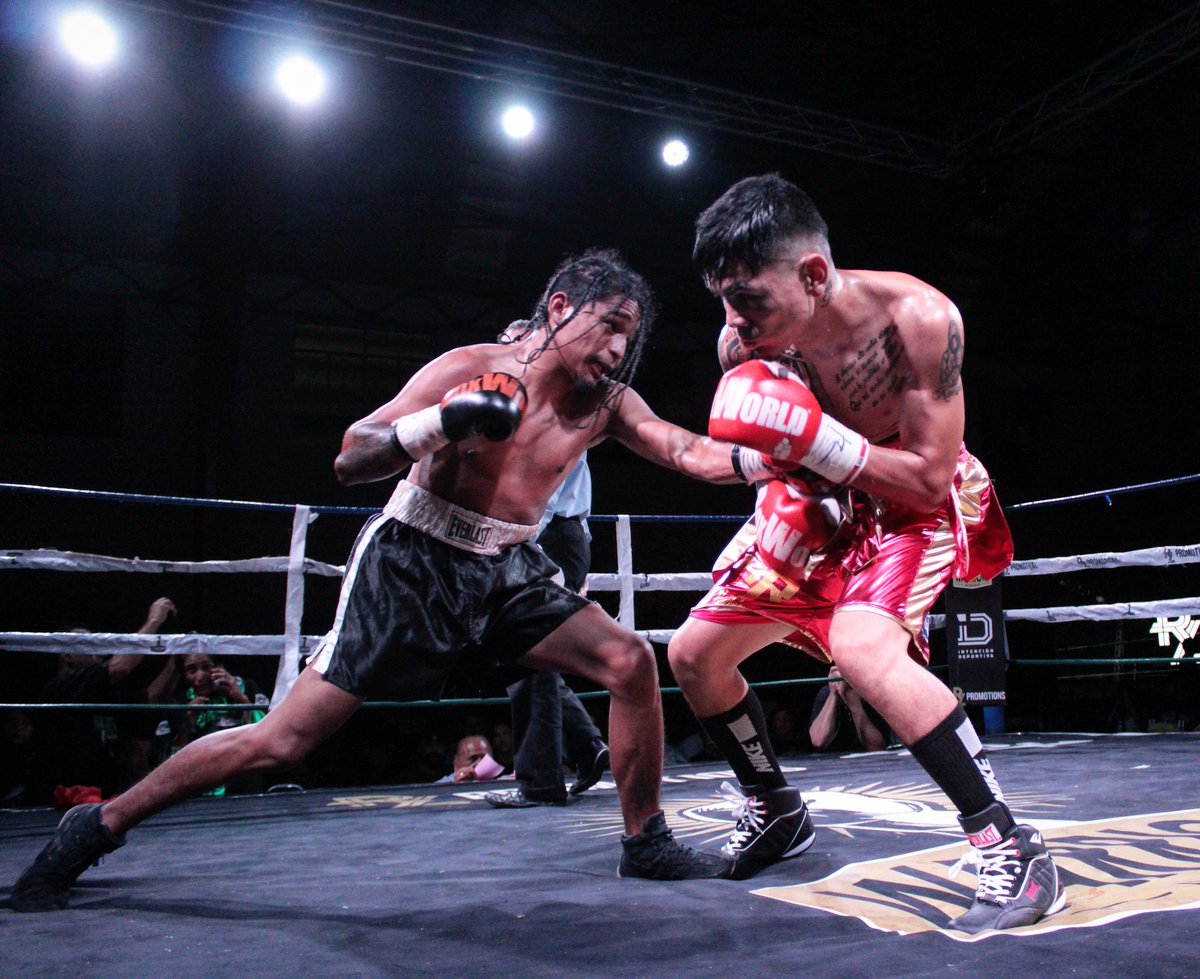 praxisdeporte's tweet image. "Nada me da miedo. Salgo al ring a demoler y destruir".
–Joe Frazier.
.
.
.
📷🥊🇲🇽
.
.
.
#box #boxeo #boxear #boxeomexicano #boxing #training #drills #knockout #ko #cmb #campeon #mma #muaythai #ufc #combate #power #profesional #canon #nikon #gopro #sony #mexico #brasil #usa