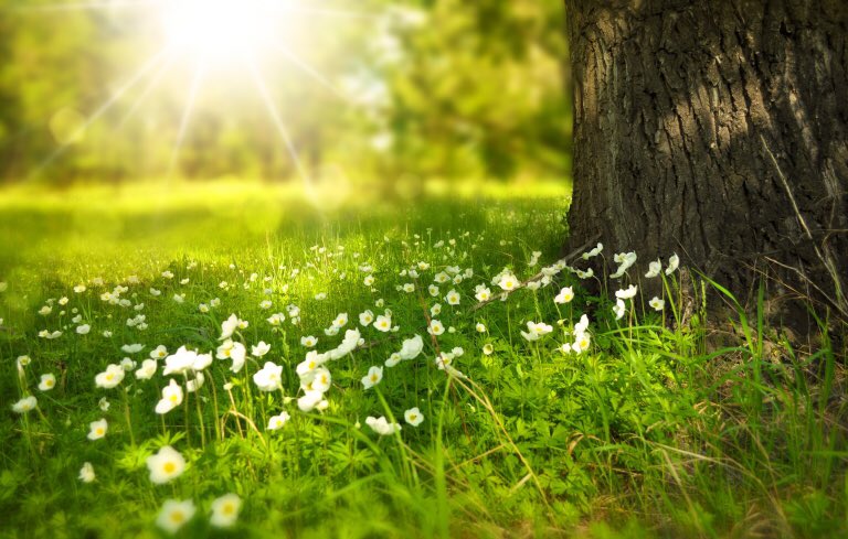 StatePointMedia's tweet photo. New Blog Alert!
Grassroots marketing is simply beginning “from the ground up” and is where every brand has to start. Check out our blog for 7 grassroots marketing efforts not to be overlooked.
#StatePointMedia #ContentMarketing #GrassrootsMarketing #ContentThatConnects #Blog https://t.co/4gUBVkkoRv
