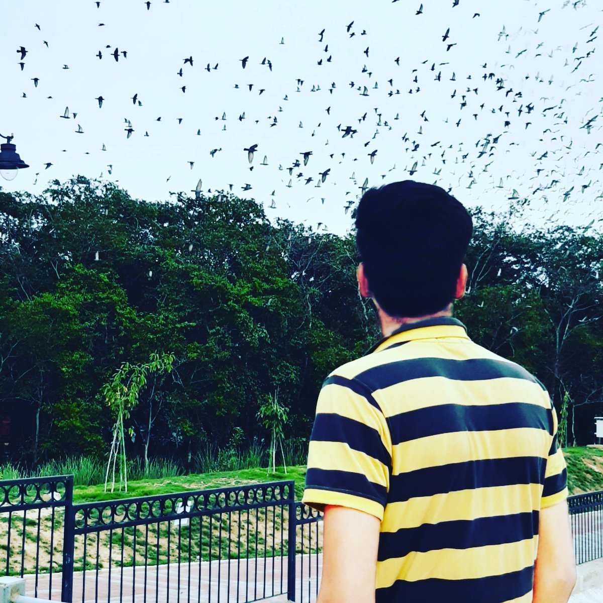775Soyab's tweet photo. https://t.co/VWE6aH1Kr7
