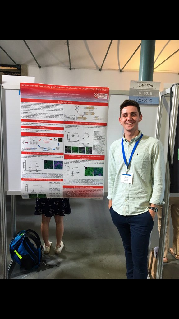 Dan_Crooks03's tweet photo. Proud to present my work on inflammasomes and myelination at #glia2019! https://t.co/g3MlAVNGsy