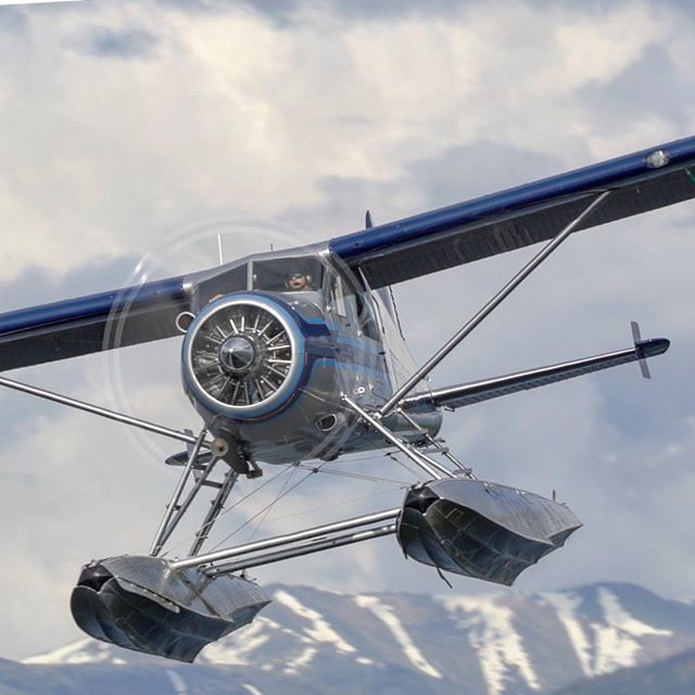 floatplanes's tweet photo. Beavers are flying a lot here at Lake Hood - coming back from another adventure - @trailridgeair .
.
.
.
.
#aviation #aviationlovers #aviationgeek #aviationdaily #aviationlife #avgeek #aviationgeek #seaplane #floatplane #instagramaviation #igplane #plan… https://t.co/2L4FtsOoOb https://t.co/dphoc1sTYQ