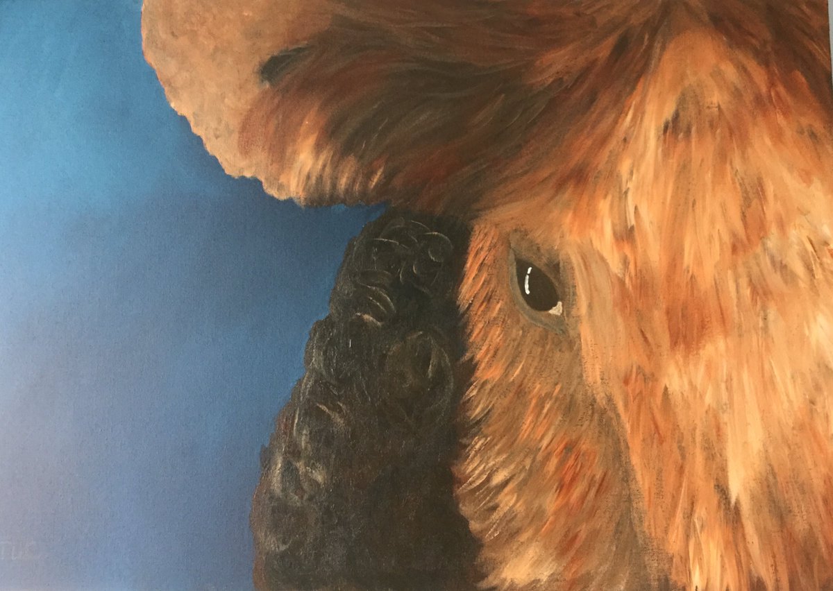 'Bovine Beauty', I have been lucky enough to grow up and work in rural areas.  I have always loved cows.  I find them quite beautiful.  
nicolacrook.co.uk
#ruralart #art #artist #bluepainting #brownpainting