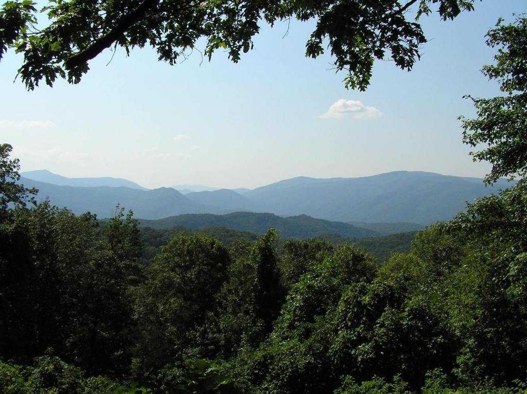 theSMMomblog's tweet photo. There are some Tennessee laws that are pretty important to know. There are so many fun places to visit in Tennessee, but getting a ticket, a fine or even arrested, would put a BIG damper on all of your fun! Here are some laws you… https://t.co/KmQ5I6Sy97 https://t.co/igCHlM32Rs