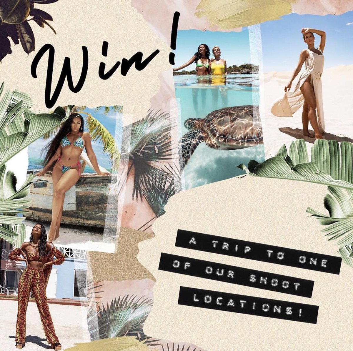 PrettyLittleThing tweet media