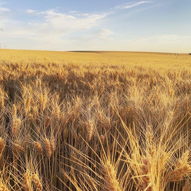 Circle G Distillery tweet media