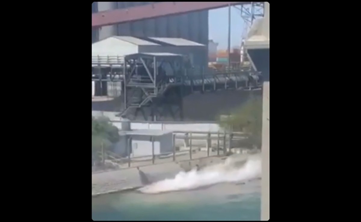 El Universal tweet media
