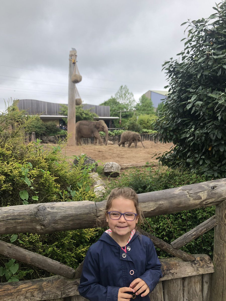 A fun inset day spent at Chester Zoo <a href="/vernonpark17/">Vernon Park Primary</a>