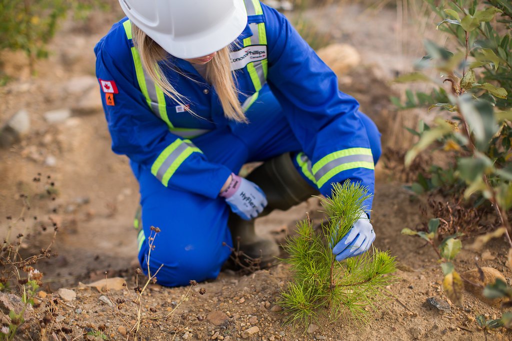 conocophillips's tweet photo. 2019 marks the 10th anniversary of #fasterforests, a @cosia_ca program to accelerate the recovery of oil sands exploration sites to self-sustaining boreal ecosystems. We’ve planted more than one million trees or shrubs at Surmont alone! Learn more:  https://t.co/3hEFe4OTct https://t.co/CZ2slZTHNG
