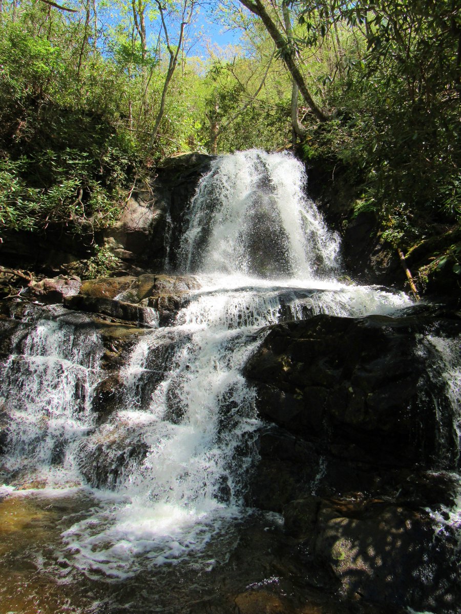 GreystoneTN's tweet photo. Looking for a great hike in the Smokies? Check out Laurel Falls, located just outside of Gatlinburg on Little River Road (towards Cades Coves). This 2.6 mile moderate hike leads to an 80 foot waterfall. #GreystoneLodge #Smokies #TakeAHike #LaurelFalls #GSMNP https://t.co/m3dWRHl6Ws