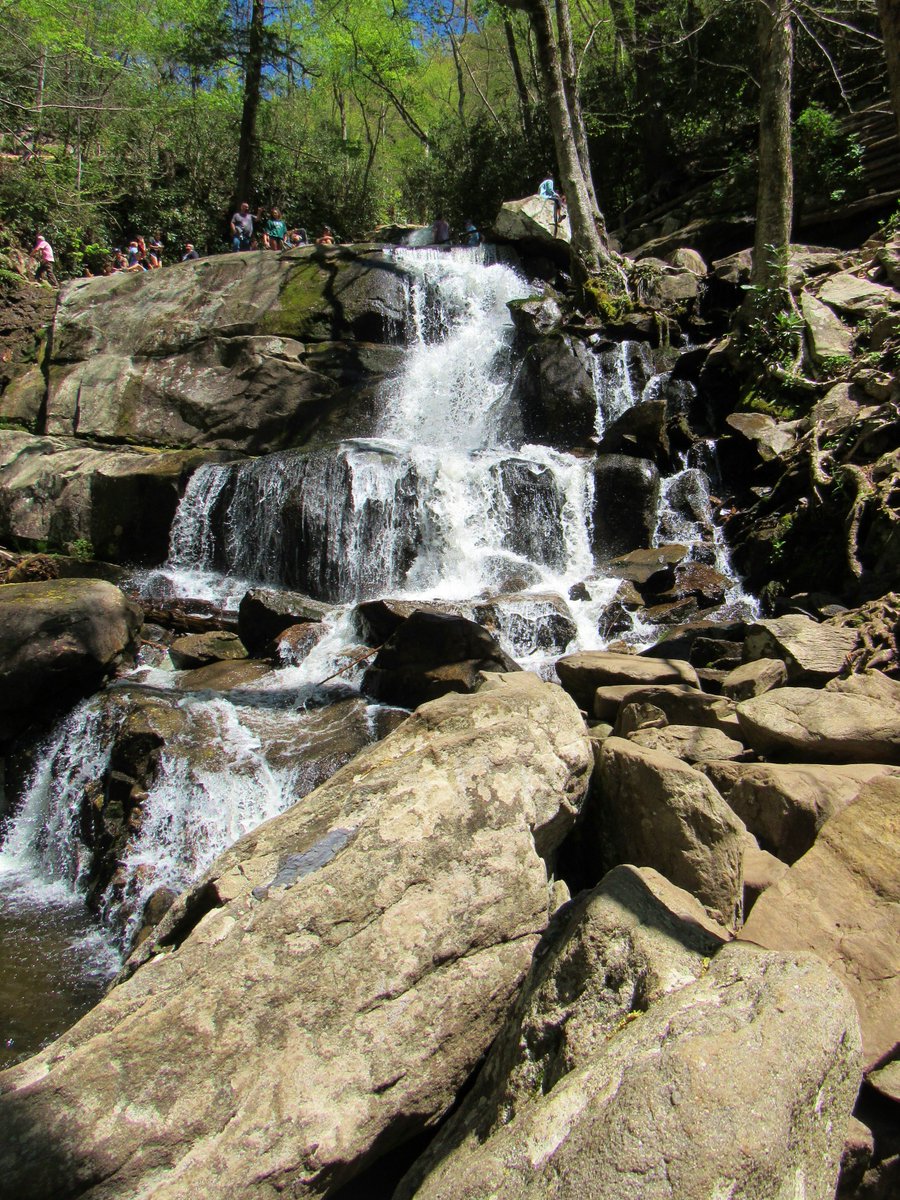 GreystoneTN's tweet photo. Looking for a great hike in the Smokies? Check out Laurel Falls, located just outside of Gatlinburg on Little River Road (towards Cades Coves). This 2.6 mile moderate hike leads to an 80 foot waterfall. #GreystoneLodge #Smokies #TakeAHike #LaurelFalls #GSMNP https://t.co/m3dWRHl6Ws