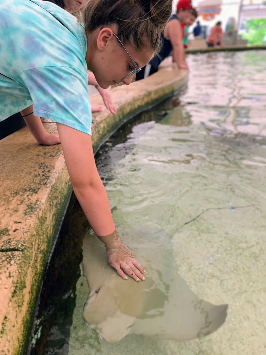 cbsummer678's tweet photo. Happy Fun-Friday! Students with perfect attendance were able to visit Stingray Beach today! Make sure to attend every day to maximize learning and experience Fun-Friday activities! See ya Monday! #SummerLearningWeek #cbcsdsummerexplore #summermatters https://t.co/265d7m0U6q