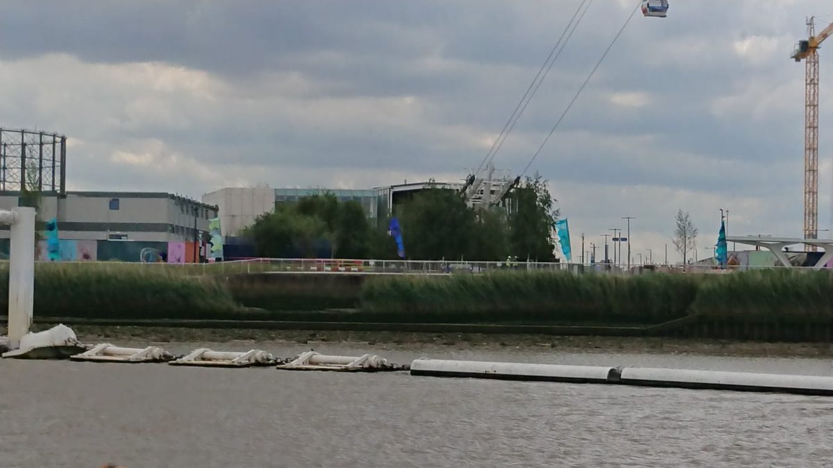 ThamesEstPart's tweet photo. If you're out in #London this weekend, take a walk on the #Thames Path @NationalTrails & check out beautiful #reedbeds on the Greenwich Peninsula. A wonderful example of an #EstuaryEdge used by #fish, birds & us! Get a boost for your #health & #wellbeing https://t.co/TqYul1Gpin https://t.co/e1fFYRGQ6U