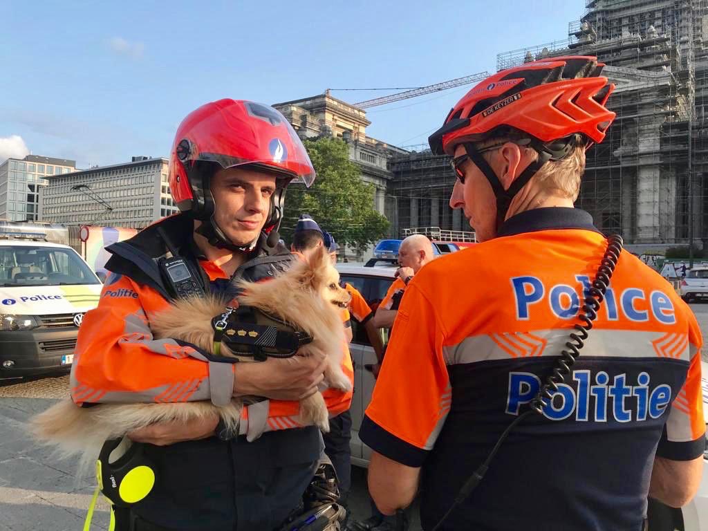 Come and check out the #RollerBikeParade police mascot👮‍♂️🐕👮🏻‍♀️