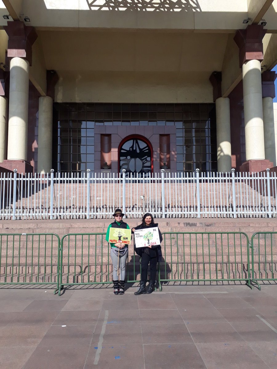 quenavarro's tweet photo. #Week6 #Fridays4Future #ClimateEmergency #ClimateBreakdown @GretaThunberg @AlexandriaV2005 today @ForValpo #ForTrees #NoMoreMutilations @Ingrelena77 https://t.co/4h5bdFbeYQ