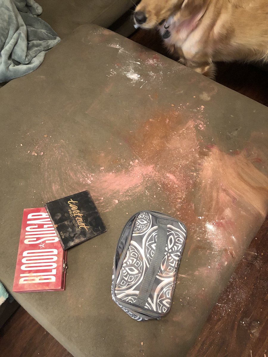 katylew's tweet photo. I really really love my kids....  but the girl one makes it SO HARD to actually like her sometimes.... 😭😭😭 @JeffreeStar @tartecosmetics  #totaldevastation #icried #thenidrank https://t.co/UZ58jrus8w