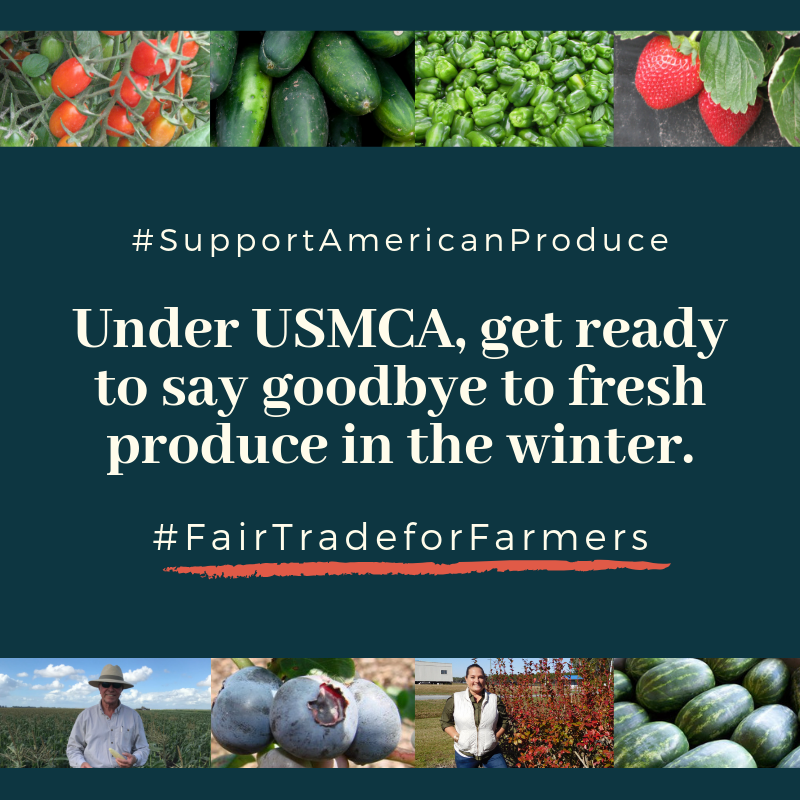 Extensive year-round government subsidies, unfair pricing practices and very low wages have helped Mexico achieve produce dominance in the U.S. over the past 20 years. #FairTradeForFarmers #SupportAmericanProduce