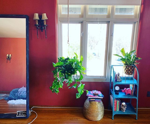 DoYouKnowJoy's tweet photo. Plants and witchy vibes, what else do you need? 👑
🏰
🖤
#lashes #lashextensions #eyelashes #namaste #tarot #plantsofinstagram #plantsmakemehappy #longbeach #belmontshore #megavolumelashes #classiclashes #minklasheswholesale #hybridlashes #volumelashes … https://t.co/dSGvcAnw0Q https://t.co/Xit5LyURS3