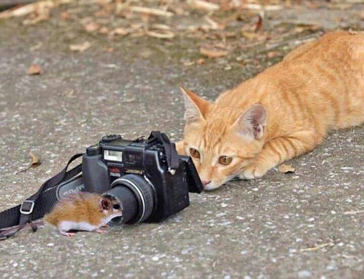 Yuji_Rich's tweet photo. #FollowHappySaturday
Ｆ> @fryld 
Ｒ> @Bianca15048017 
Ｉ> @VictoriaD6363 
Ｅ> @Nivea__mc 
Ｎ> @Jilliemary 
Ｄ> @JuniaSchneider7 
Ｓ> @moser_carole https://t.co/QZu3h1v4wt