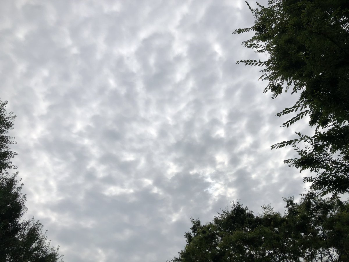 動物と自然 風景と電車や飛行機などの動画 写真を発信 太陽が雲の奥に感じられます いまそら イマソラ 写真撮ってる人と繋がりたい 写真好きな人と繋がりたい 写真で奏でる私の世界 写真で伝えたい私の世界 風景 スマホ撮影 スマホ写真 写真