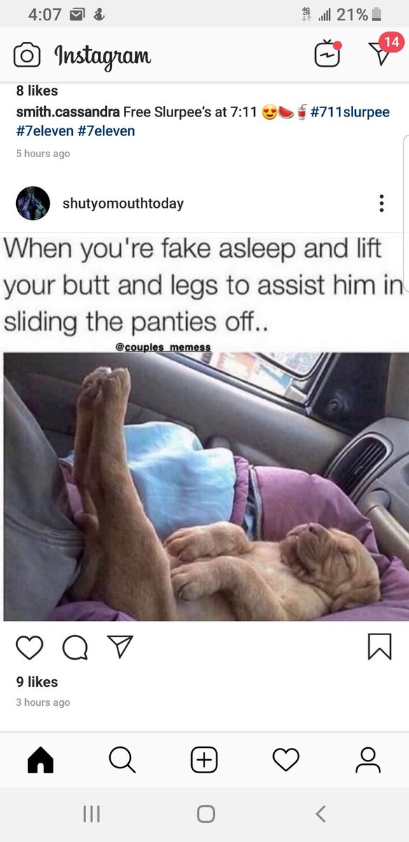Bitch