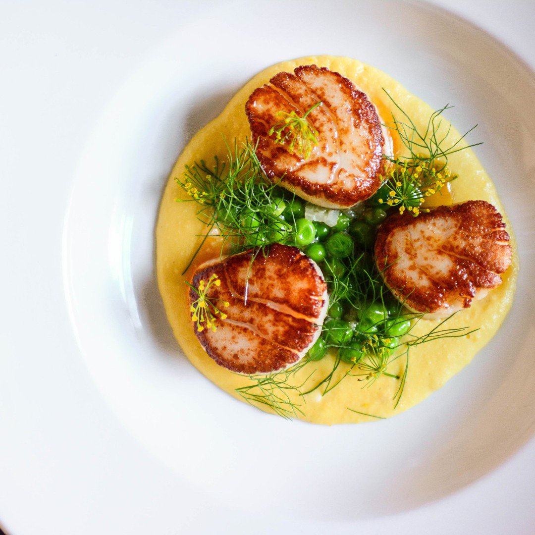 Capesante | Seared New England scallops, summer legumes, guanciale, Ontario fennel, @emeraldgrasslands butter.
Currently on our Buca on King dinner menu.
#buca
