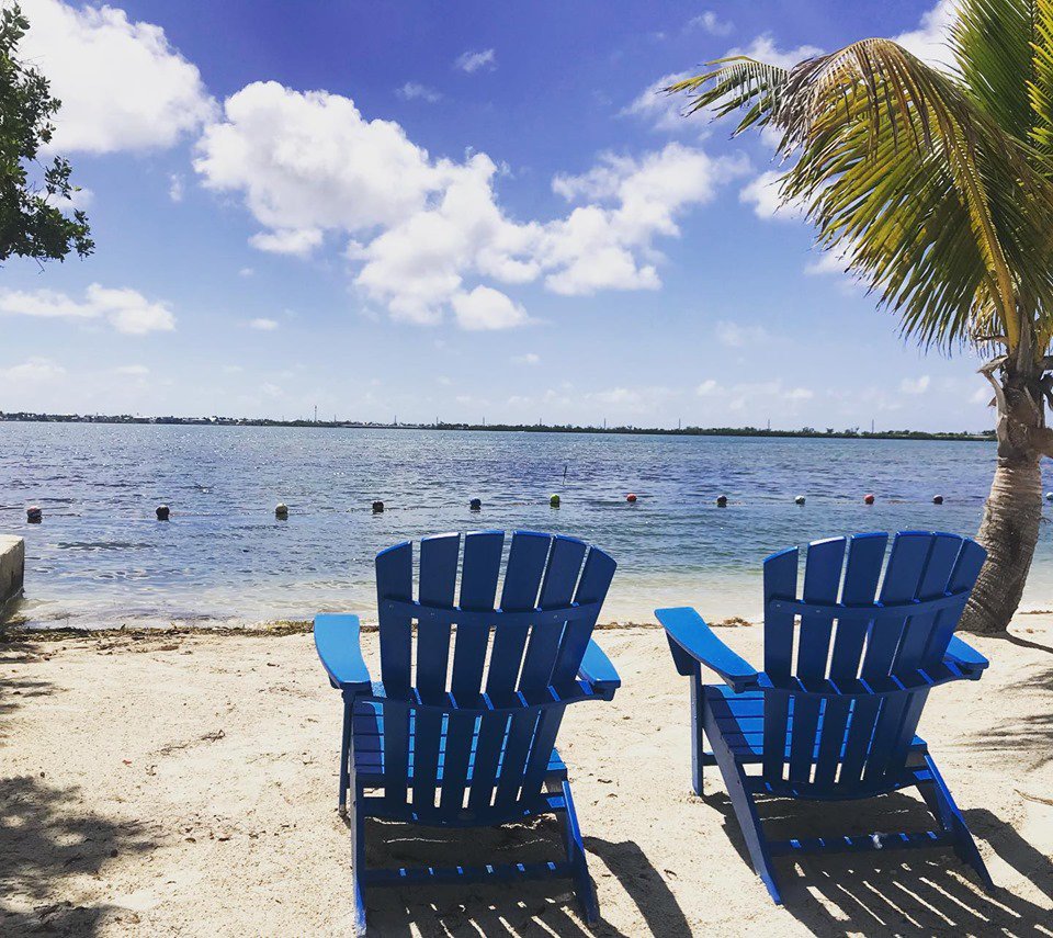 FloridaKeys's tweet photo. Your chairs are waiting for you… 😎🌊

@ParmersResort  https://t.co/G6f4KMgDnn

#parmersresort #floridakeys #FLKeys #PlacesToStay #Wanderlust #Paradise #sponsored https://t.co/tUCksSxjuP