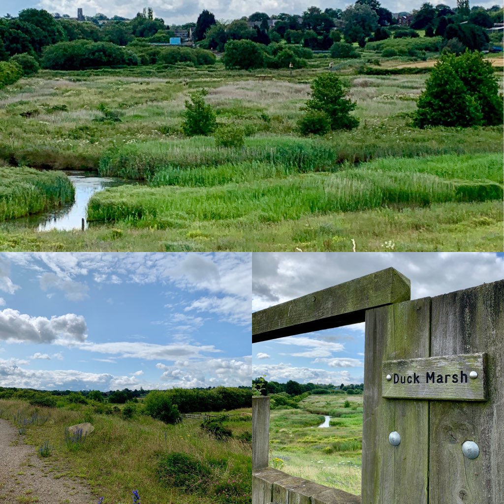 JoannaWestUK's tweet photo. Lovely location for #beingcoopy today, helping deliver leaflets for a #familyday later this month - great company too! #naturereserve #familyopenday #free #picnic https://t.co/5UTWdwNLk2